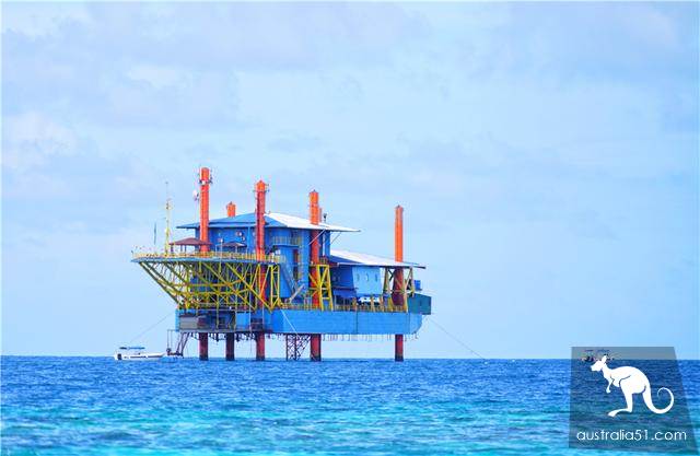 Deep in Malaysia's sea, the 'Garden of Eden ', a world-class diving resort, is the kingdom of Merlot