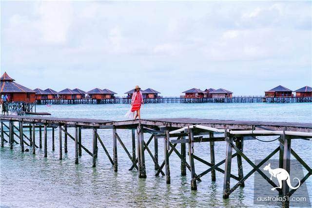 Deep in Malaysia's sea, the 'Garden of Eden ', a world-class diving resort, is the kingdom of Merlot