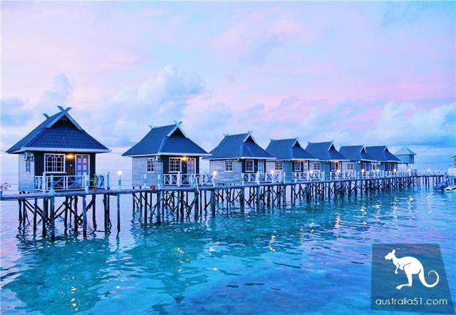 Deep in Malaysia's sea, the 'Garden of Eden ', a world-class diving resort, is the kingdom of Merlot