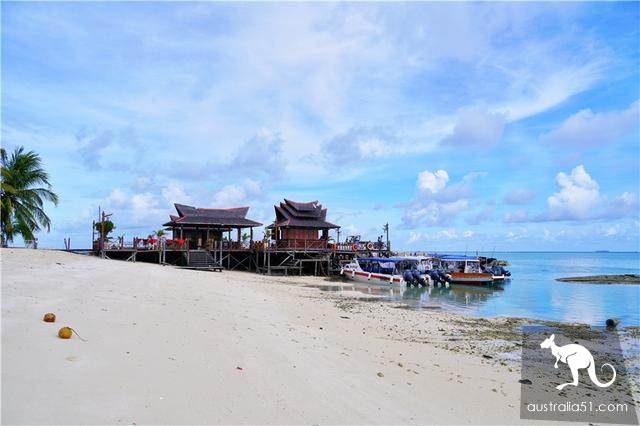 Deep in Malaysia's sea, the 'Garden of Eden ', a world-class diving resort, is the kingdom of Merlot