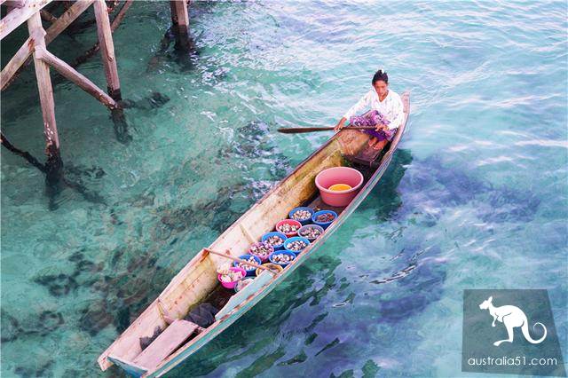 Deep in Malaysia's sea, the 'Garden of Eden ', a world-class diving resort, is the kingdom of Merlot