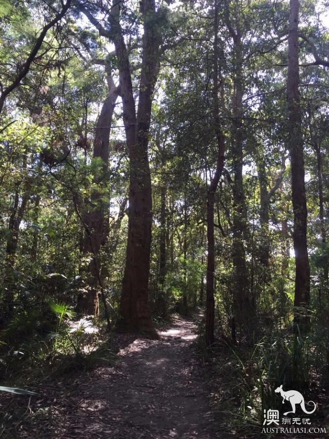 Trudging mountains and waters to see you, Sydney eight-character Lake Journey