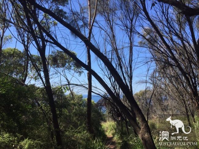 Trudging mountains and waters to see you, Sydney eight-character Lake Journey