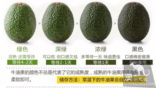 How to choose good avocado and the right way to eat avocado