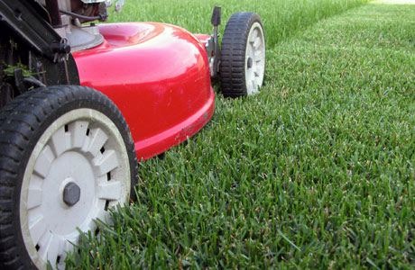 How to select the appropriate mower (Lawn Mower)?