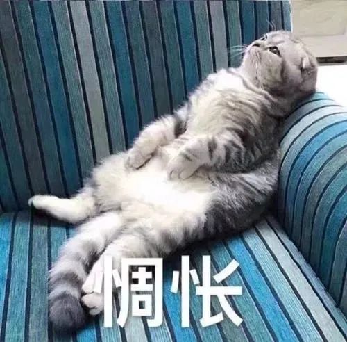 假期实习有多重要?利用这个假期偷偷提升自己!
