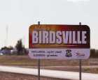 伯兹维尔（Birdsville）
