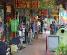 宁宾（Nimbin）