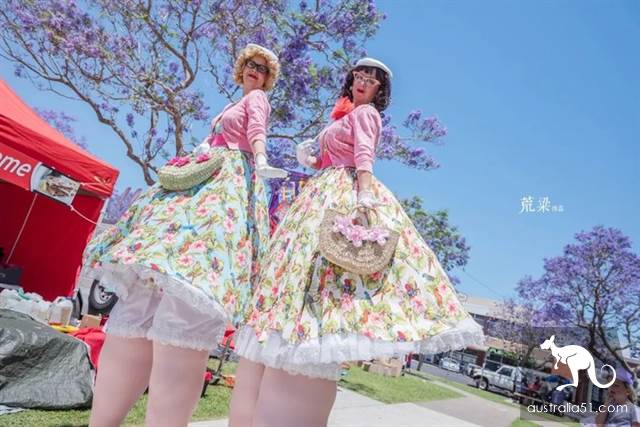 紫色的春天，澳洲格拉夫顿蓝花楹节全攻略