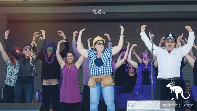紫色的春天，澳洲格拉夫顿蓝花楹节全攻略