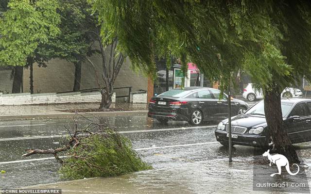 Heavy rains in 20 years: Sydney train delays multiple power outages