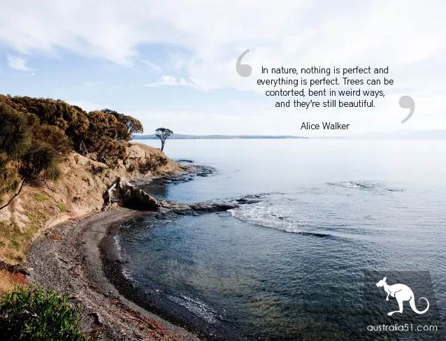 土豪新玩法:，在塔州只需50就能包下整座岛做岛主，生蚝三文鱼吃到爽