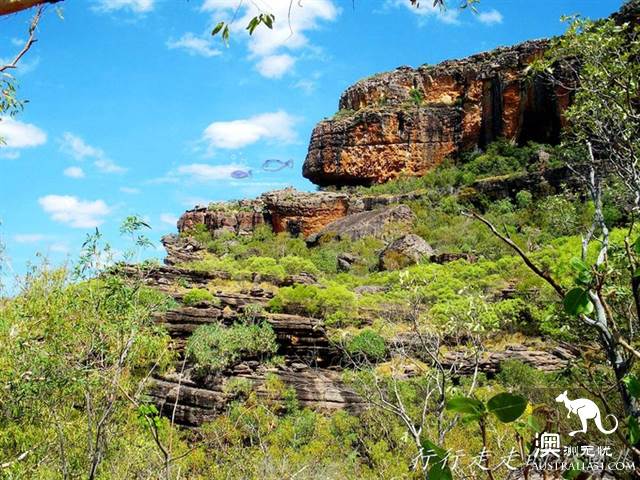 The practical information of the Kakadu National Park in the Northern Territory.