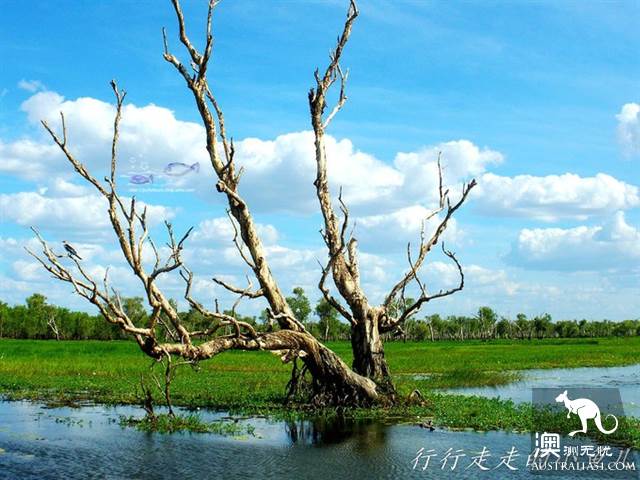 The practical information of the Kakadu National Park in the Northern Territory.