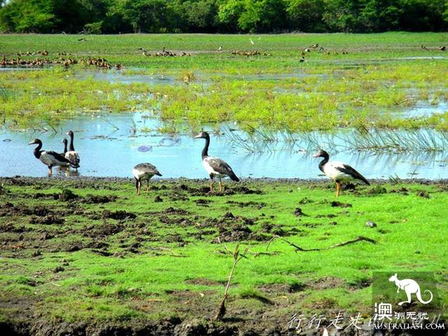The practical information of the Kakadu National Park in the Northern Territory.