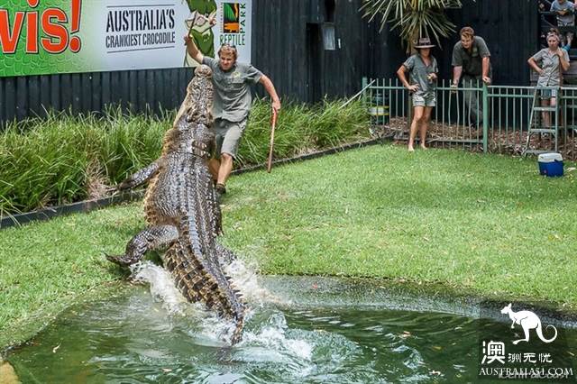 Practical information, guide to the theory and practice of Australia's honeymoon travel.