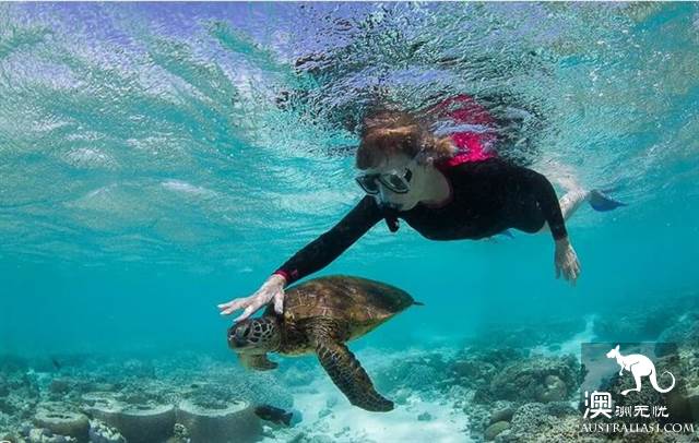 Practical information, guide to the theory and practice of Australia's honeymoon travel.