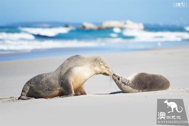 Practical information, guide to the theory and practice of Australia's honeymoon travel.
