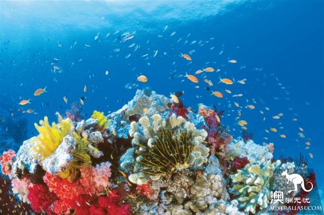 Practical information, guide to the theory and practice of Australia's honeymoon travel.