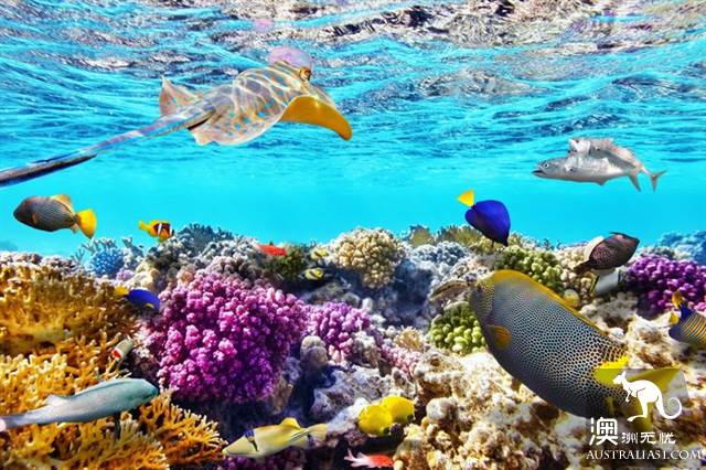 Practical information, guide to the theory and practice of Australia's honeymoon travel.