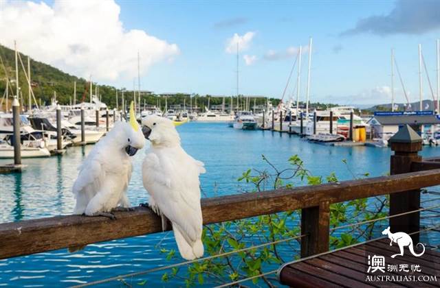 Practical information, guide to the theory and practice of Australia's honeymoon travel.