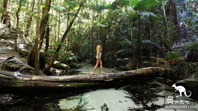 Practical information, guide to the theory and practice of Australia's honeymoon travel.