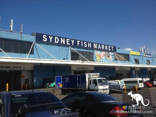 Sydney Double Sightseeing Bus (Downtown + Bondi Beach) route, full tour and ticket purchase.