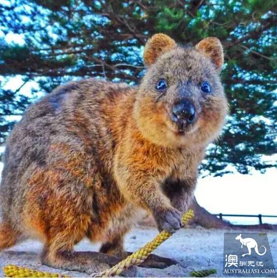 The 40 unique experiences that Australia cannot miss! Take a quick look at these extraordinary feelings.
