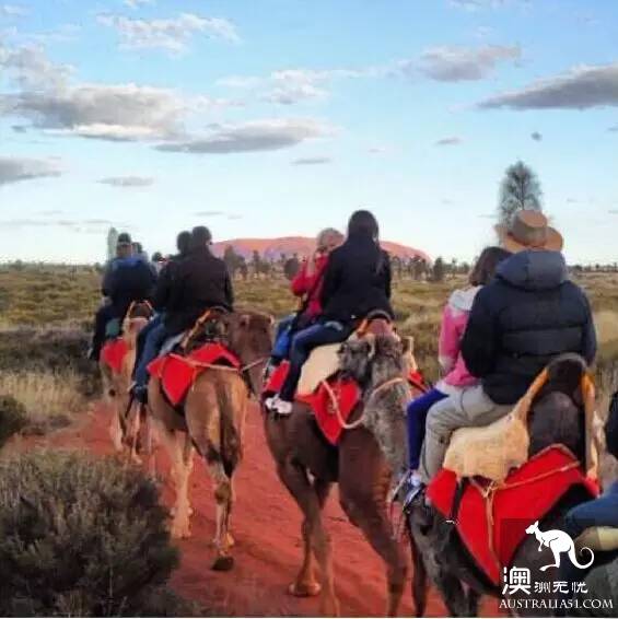 The 40 unique experiences that Australia cannot miss! Take a quick look at these extraordinary feelings.