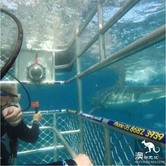 The 40 unique experiences that Australia cannot miss! Take a quick look at these extraordinary feelings.