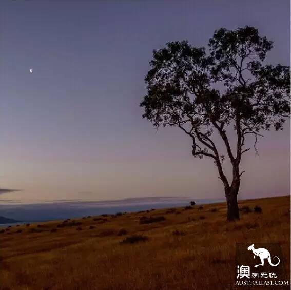 The 40 unique experiences that Australia cannot miss! Take a quick look at these extraordinary feelings.