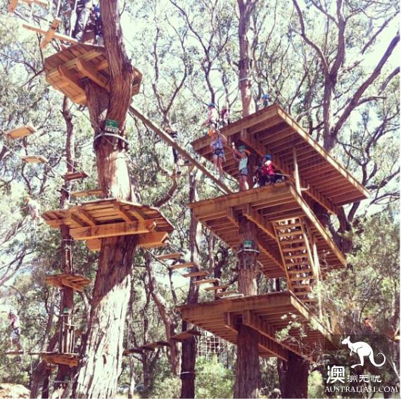 The 40 unique experiences that Australia cannot miss! Take a quick look at these extraordinary feelings.