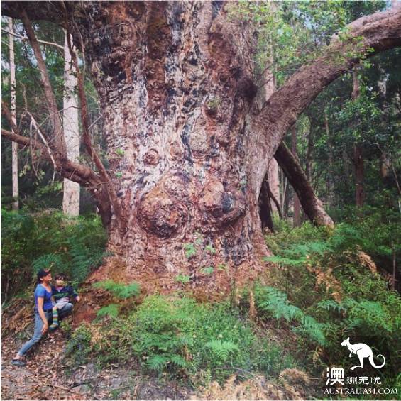 The 40 unique experiences that Australia cannot miss! Take a quick look at these extraordinary feelings.