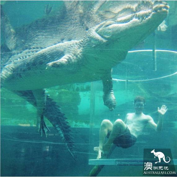 The 40 unique experiences that Australia cannot miss! Take a quick look at these extraordinary feelings.