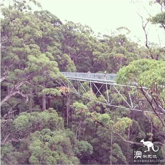The 40 unique experiences that Australia cannot miss! Take a quick look at these extraordinary feelings.