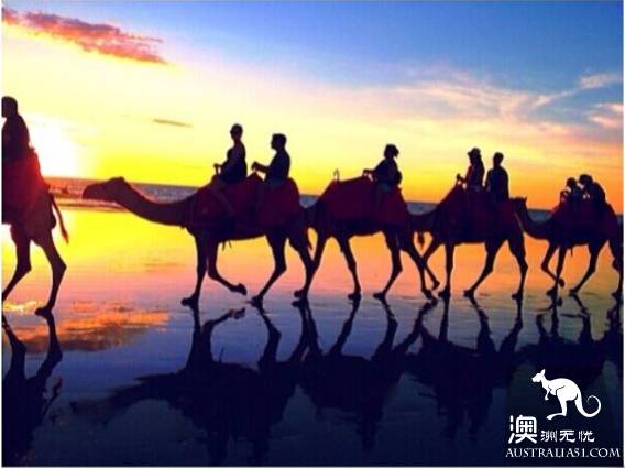 The 40 unique experiences that Australia cannot miss! Take a quick look at these extraordinary feelings.