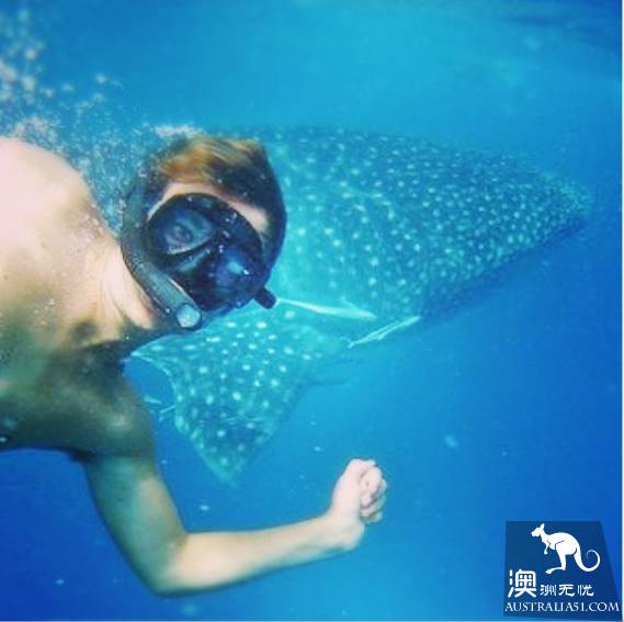 The 40 unique experiences that Australia cannot miss! Take a quick look at these extraordinary feelings.