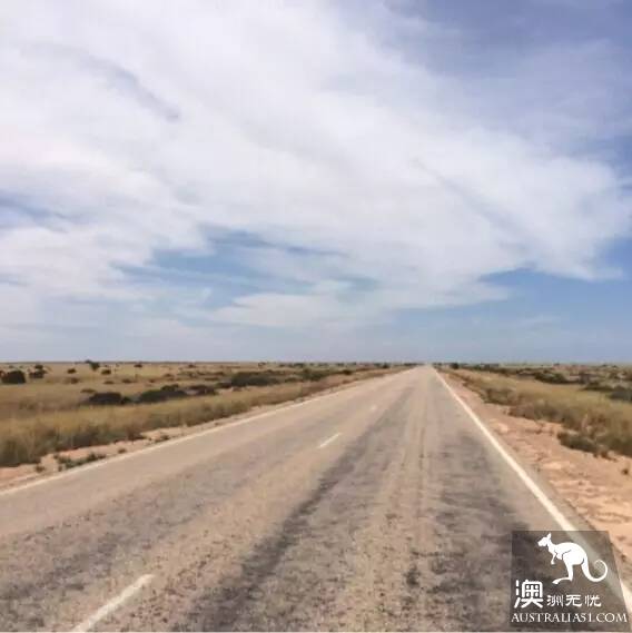 The 40 unique experiences that Australia cannot miss! Take a quick look at these extraordinary feelings.