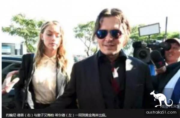 带你回家不容易！澳洲萌宠领养购买指南，以及宠物出入境流程