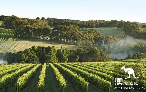 5 hot springs near Melbourne, along with the town scenery