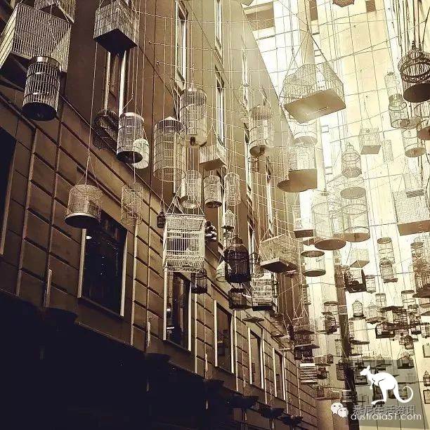 I can't believe I didn't know these 10 strange alleys for so long in Sydney! As soon as you walk in, it's like opening the door to a new world.
