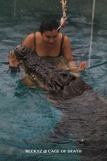 What do I do every day, a photographer at Darwin crocodile park?