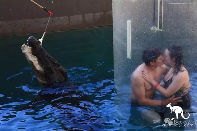 What do I do every day, a photographer at Darwin crocodile park?
