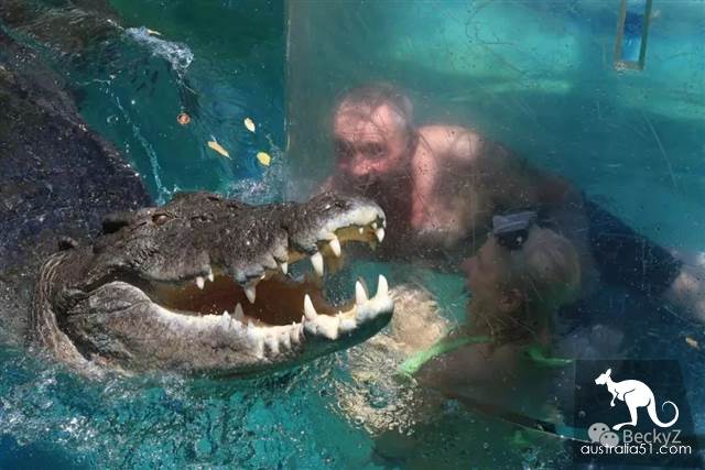 What do I do every day, a photographer at Darwin crocodile park?