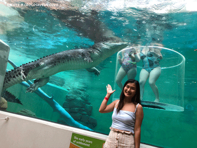 What do I do every day, a photographer at Darwin crocodile park?