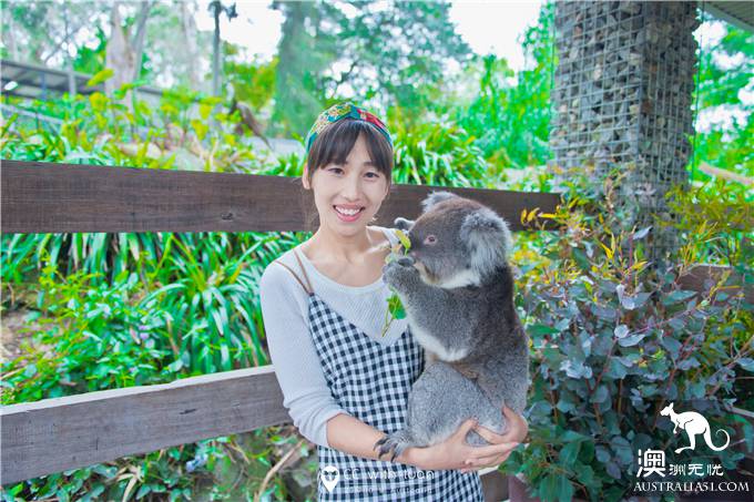 Hug koala, feed kangaroo, Adelaide Canyon Wildlife Park can play all day