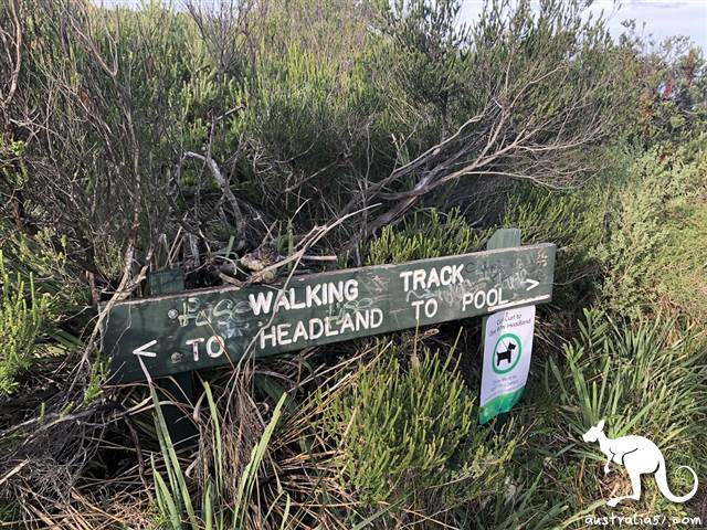 New hiking route! Sydney Don't Jump rock whole network, hot to see?