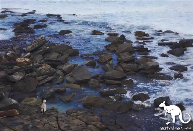 New hiking route! Sydney Don't Jump rock whole network, hot to see?