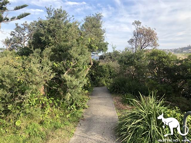 New hiking route! Sydney Don't Jump rock whole network, hot to see?