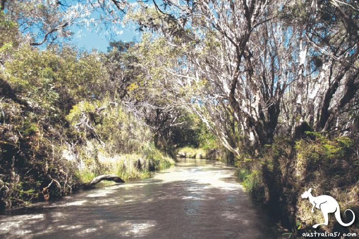 Beautiful Paradise on the World Heritage List: Fraser Island